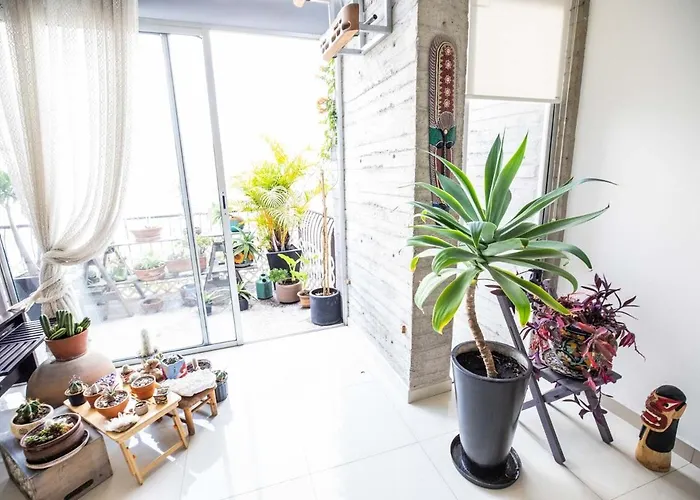 Loft With Jacuzzi And Terrace México DF