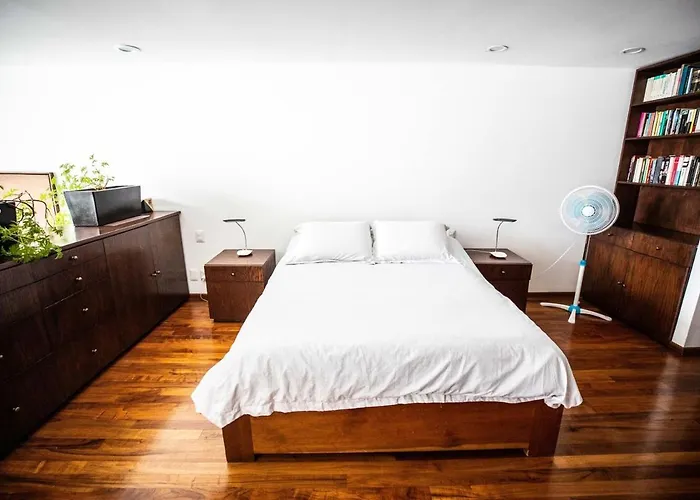 Apartamento Loft With Jacuzzi And Terrace México DF